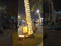Cognizant CEEF event #wetowild #kolkata #reels #viral #trendingshorts #viralshorts #party #shorts