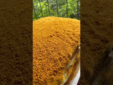 Buyurtma uchun bugungi Medoviy #медовый #medovik #рекомендации #rek #shortsvideo #shorts