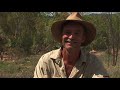 Fossicking pour topaz obriens creek qld avec al broadhurst