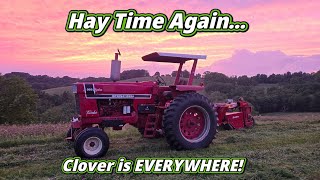 Second Cutting Hay is Underway!