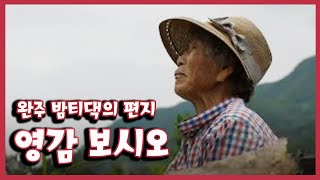 [남도지오그래피] 영감 보시오, 완주 밤티댁의 편지  200701