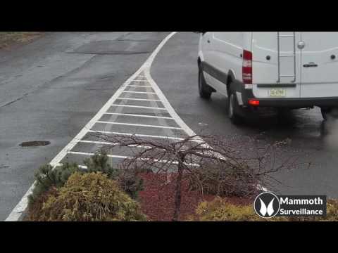 License Plate Recognition (LPR) Camera Demo Video