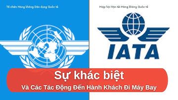 Phân biệt ICAO và IATA | Tác Động Đến Hành Khách Đi Máy Bay Như Thế Nào?