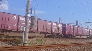 63列車JR貨物桃太郎EF210−14と352押し🍑と1074列車1時間遅れ金太郎EH500−71