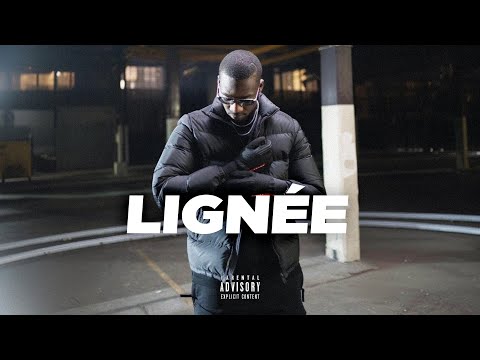 SDM Type Beat "LIGNÉE" | Instru Trap Melodique Guitare | Instru Rap 2025