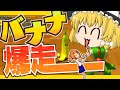 【ゆっくり実況】バナナだってレースがしたい2020年【マリオカート8DX】【ねずみ講杯】