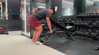 Chest Supported Hinge Alternating Row