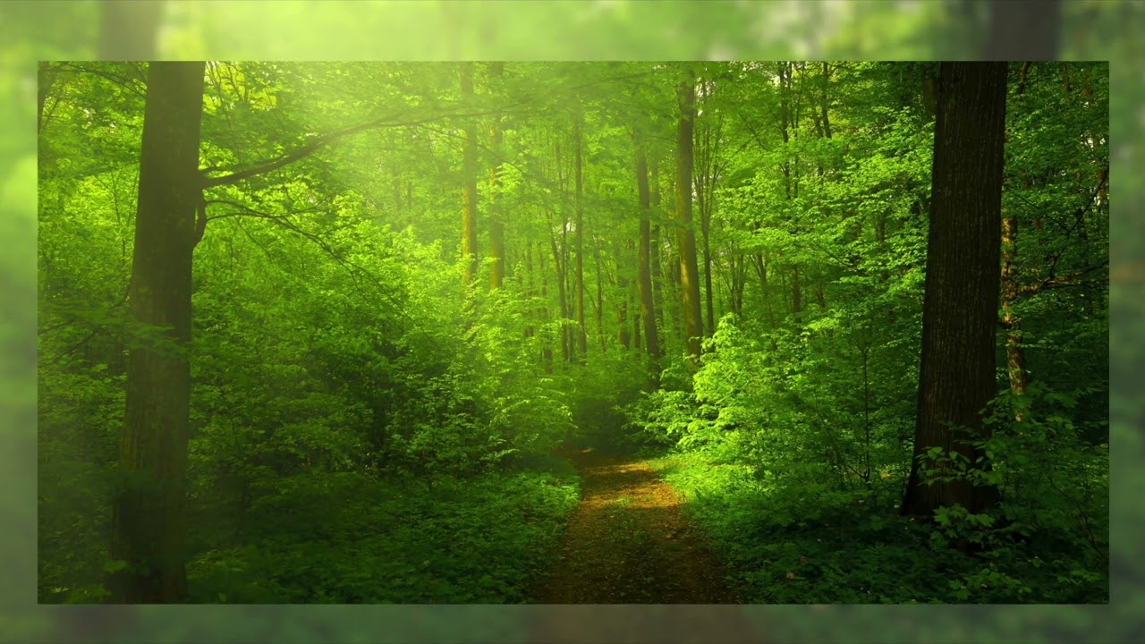 怒りを溜めたら起こること