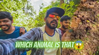 Secret Waterfalls Of Chikkamagaluru The Indian Arab