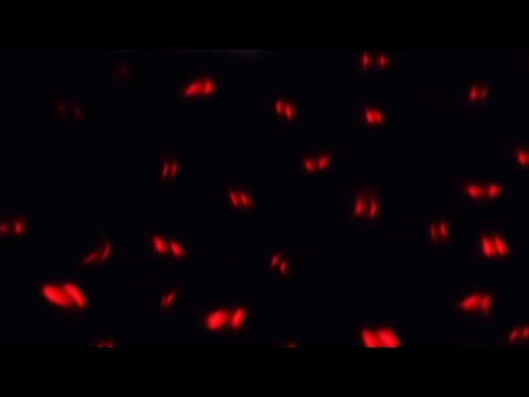 Essay Writing: Writing: Academic Writing Style - UniLearning