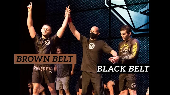 BJJ Brown Belt Submits Andrew Wiltse