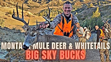Big Sky Bucks | Montana Mule Deer and Whitetails