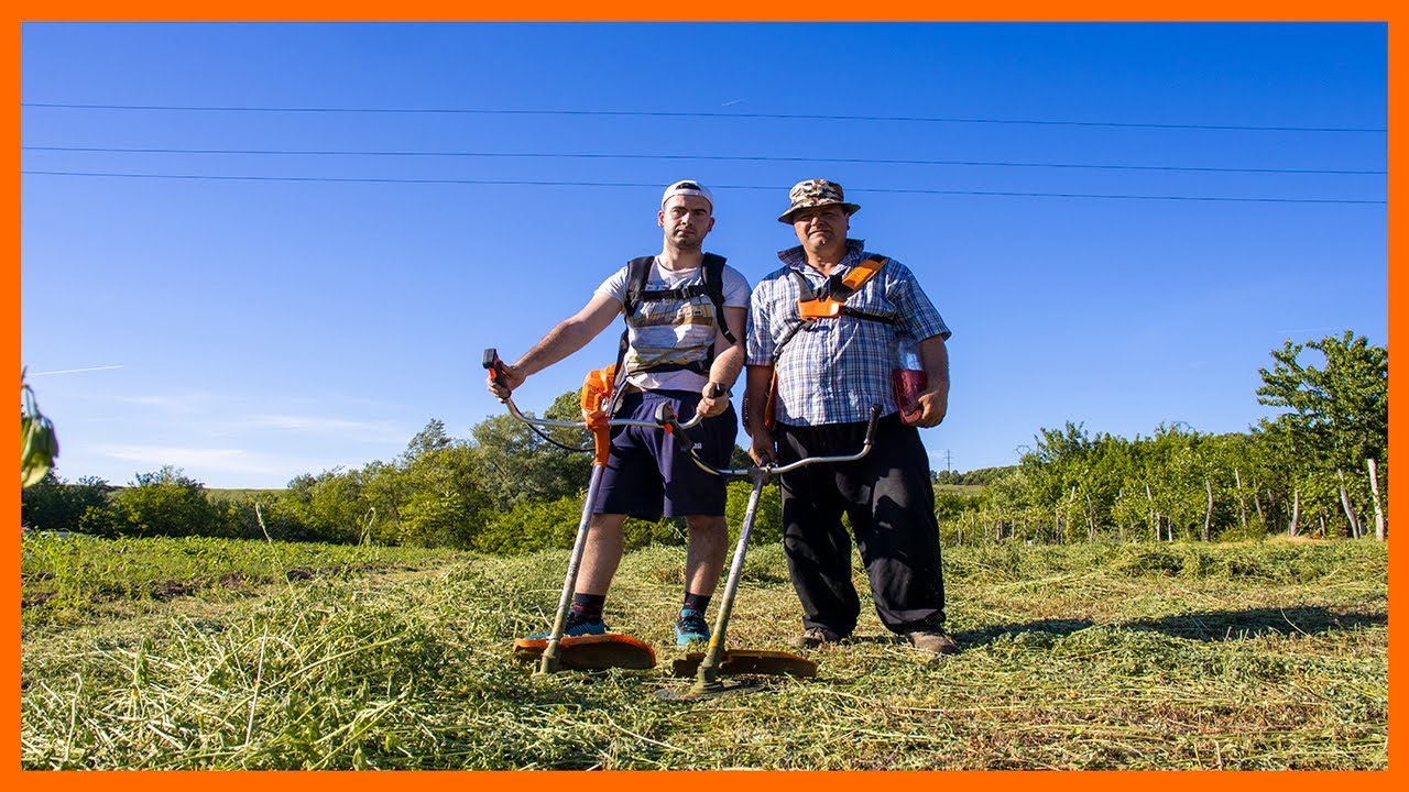 Testăm la MAXIM⚡️Motocoasa Ruris DAC 310 și RURIS 430C - am cosit o suprafață MARE de lucernă