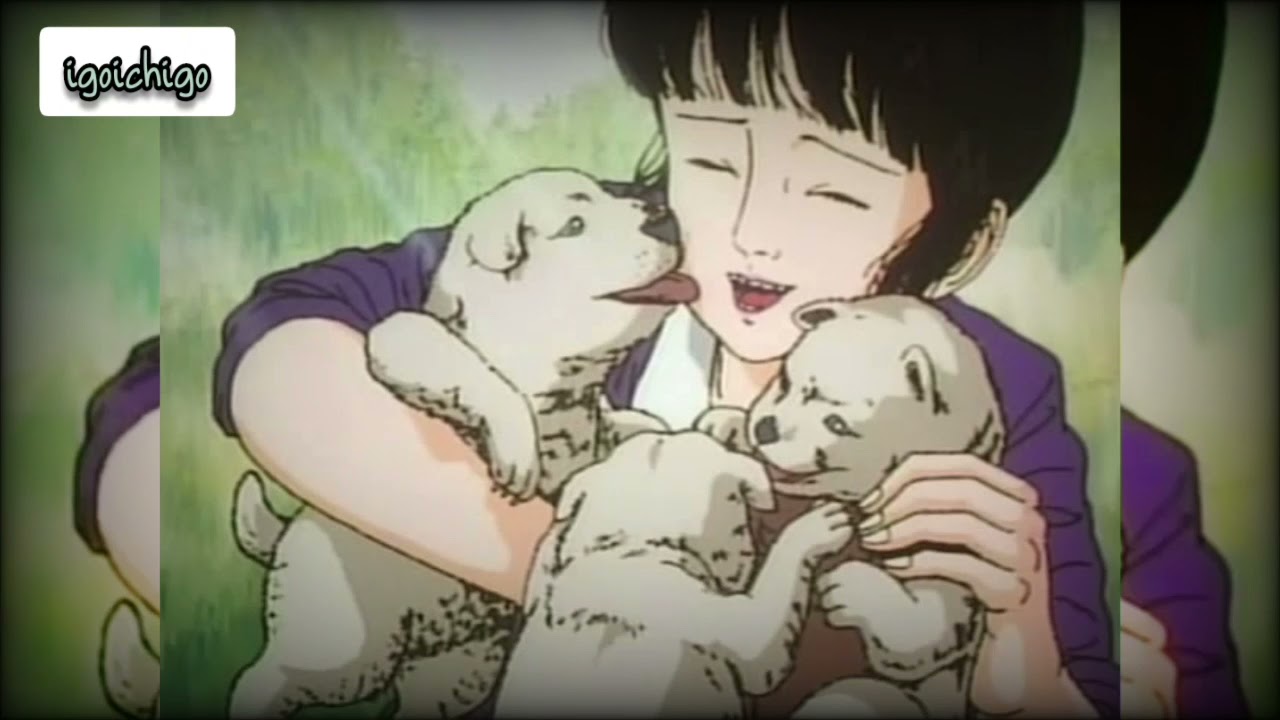 Midori Shoujo Tsubaki Ending Song | Mayoigo no Ribon