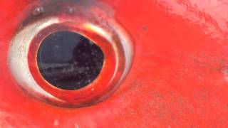 Bahamas Fly Fishing - Leland Fly Fishing Outfitters