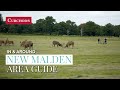 In  around new malden  area guide