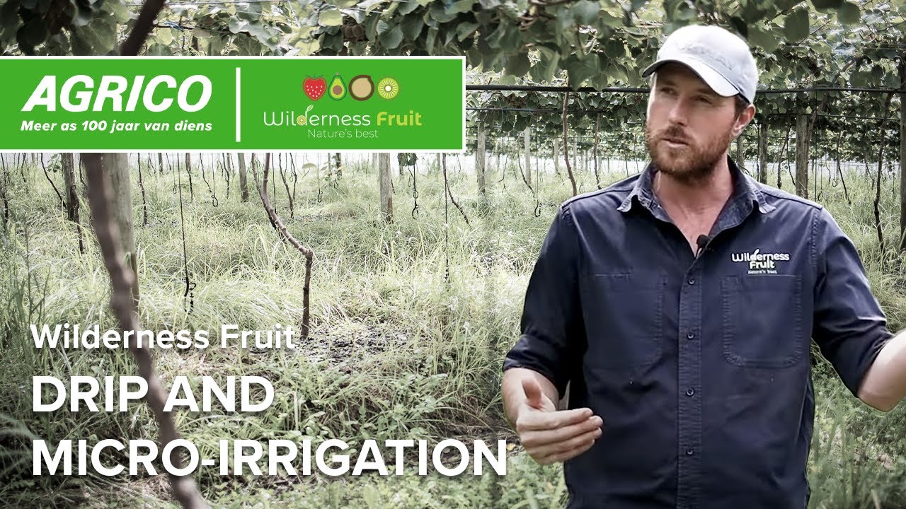 Wilderness Fruit: Drip- and micro-irrigation for kiwifruit, avocados, strawberries and more!