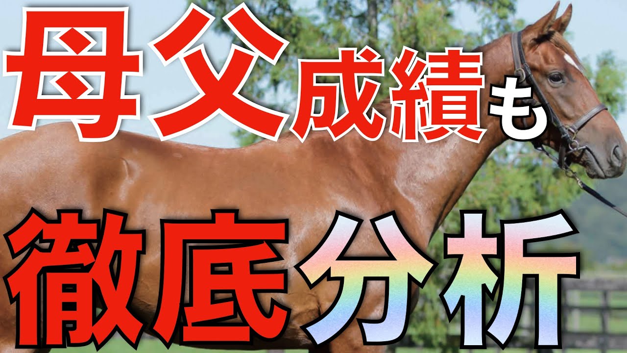 【これは本物】BMSリーディングも項目別に徹底分析！絶対に覚えておくべき1頭とは。