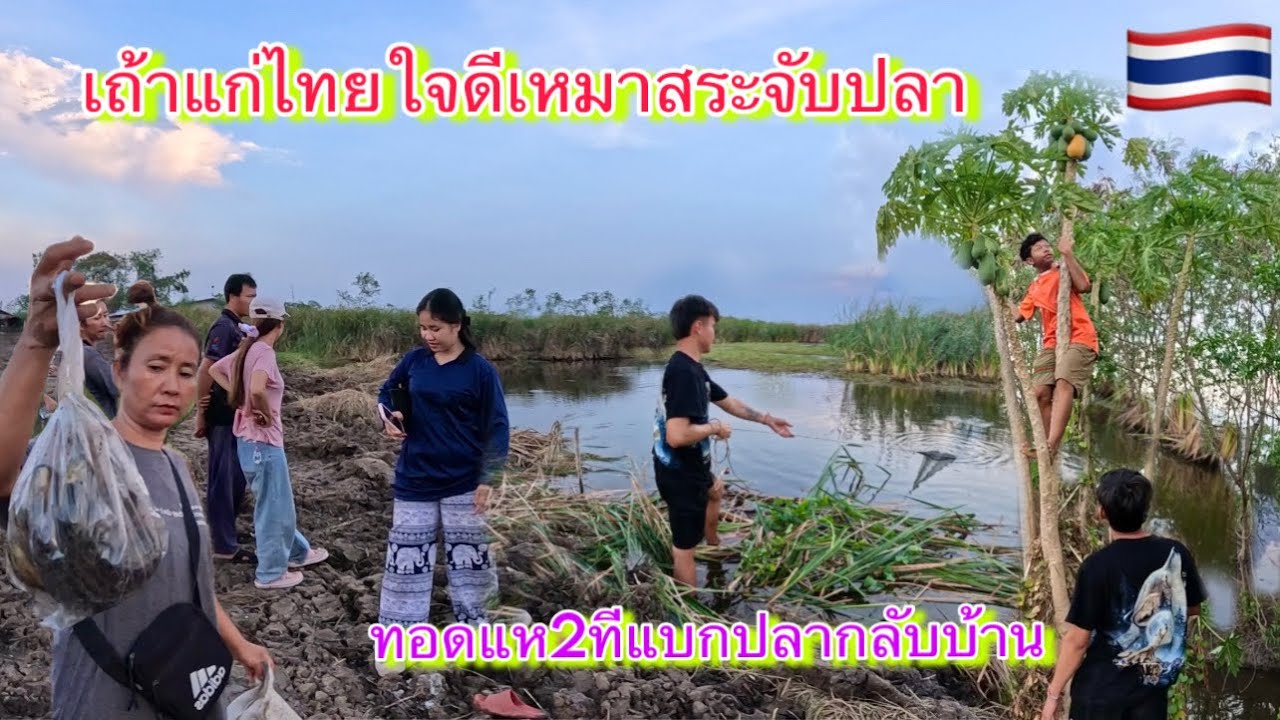 คนไทยเขาไม่กินปลาช่อนปลาหมอกันหรอ ทำไมปลาตามบ่อตามหนอง￼เยอะแบบนี้￼.?