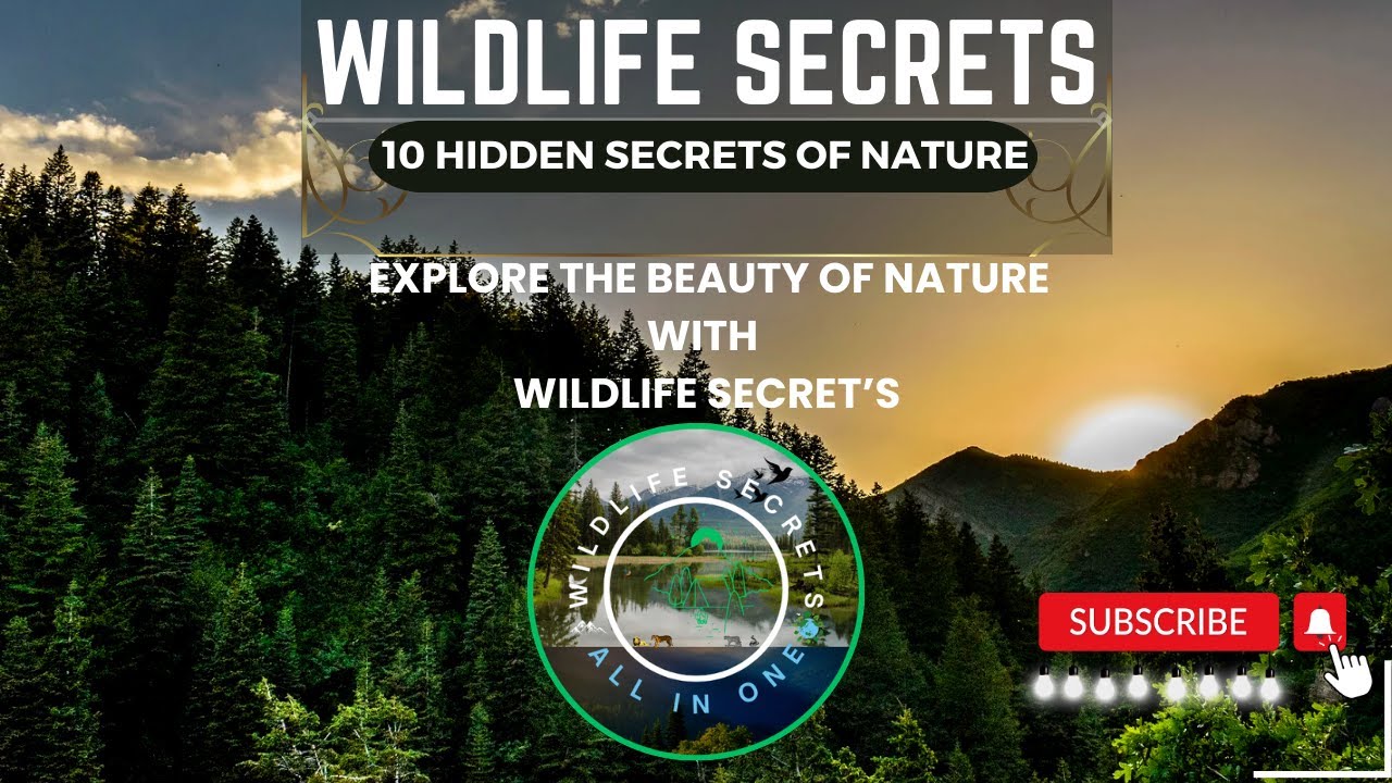 "10 Hidden Secrets of Nature"