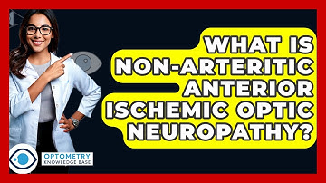 What Is Non-Arteritic Anterior Ischemic Optic Neuropathy? - Optometry Knowledge Base