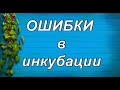 ОСНОВНЫЕ ОШИБКИ при инкубации яиц. 100% ВЫВОД!