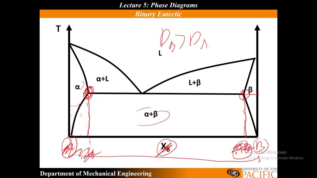 Lecture 5: Congruent and Incongruent Phase Transitions and Binary