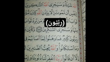 معنى كلمة ( رِبِّيُّون ) سورة آل عمران الآية 146..