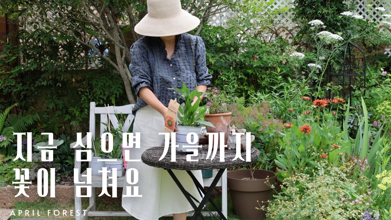 초보자도 실패없는 여름꽃 추천🌼ㅣ가을까지 예쁜 화단 만들기ㅣ구독자이벤트🙋♀️