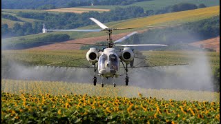 Kamov Ka-26 spraying sunflower in Hungary
