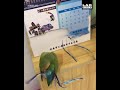 Mein Papagei hat herausgefunden, wie er sich anziehen soll 😂😂