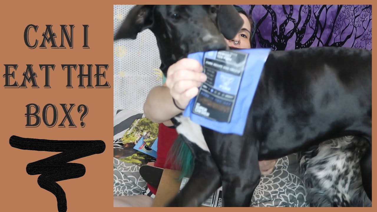 July Super Chewer ll it was complete chaos!