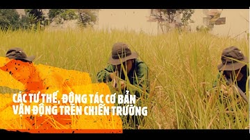 CÁC TƯ THẾ, ĐỘNG TÁC CƠ BẢN VẬN ĐỘNG TRÊN CHIẾN TRƯỜNG.
