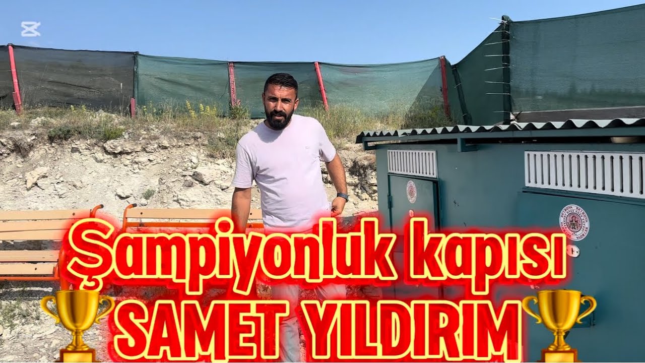 🏆SAMET YILDIRIM🏆ın şampiyon serileri ile Bu akşam 22.00 da CANLI MEZATTAYIZ
