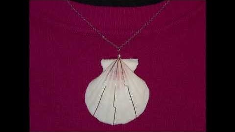DIY Easy wire wrap shell pendant  |  Einfacher Muschelkettenanhänger