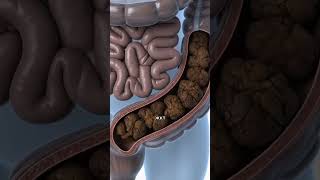 💊Артикул на пребиотики для здоровья кишечника вашего питомца: #WW171508 (копируй прямо с буквами)