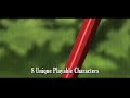 Beginning of video