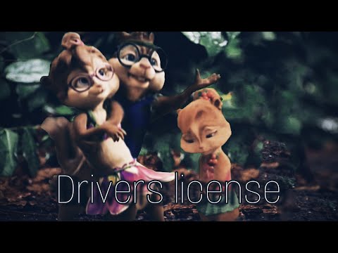 Drivers license | Multifandom mep (Closed)