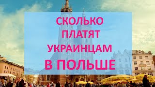 Сколько платят украинским беженцам в Польше. Пособия, право на работу, pesel и жилье