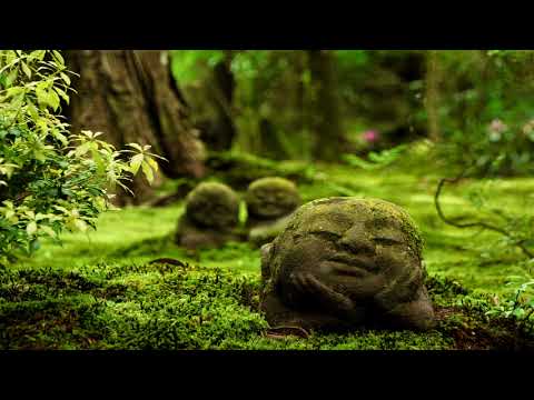 Traditional Japanese Music | Forest Spirits | Japanese Koto \u0026 Shakuhachi