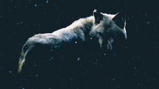 UNDER THE WOLF MOON Book Trailer (Book Two of THE OUTCROSSED SERIES) by River J. Hopkins