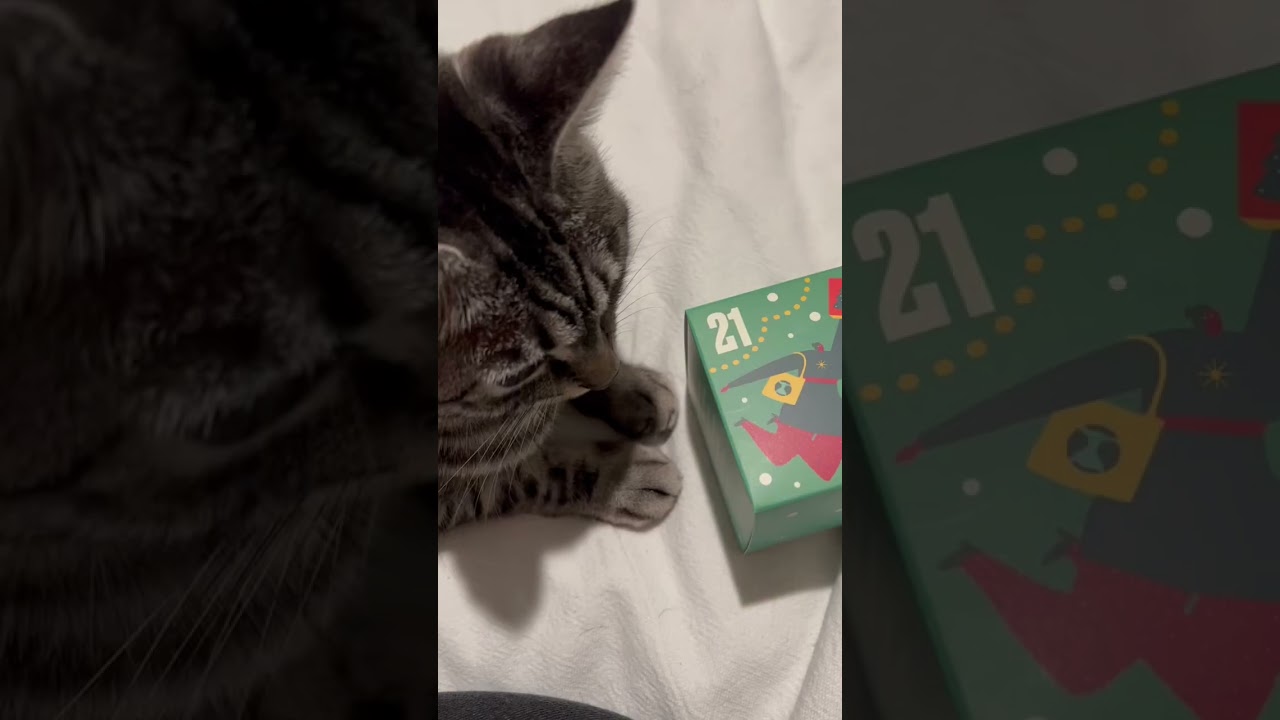 The Body Shop Advent Calendar. Day 21 