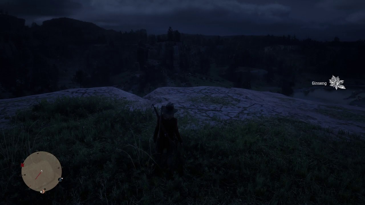 RDR2 American Ginseng location YouTube