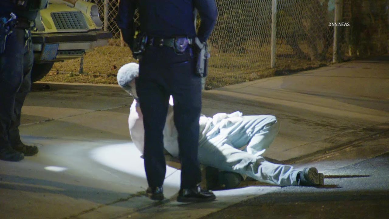 Stolen Police Car Pursuit Ends in Crash in Lakewood With Suspect in ...