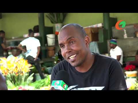 Floricultura: fonte de renda passada de geração em geração em Maputo. hqdefault
