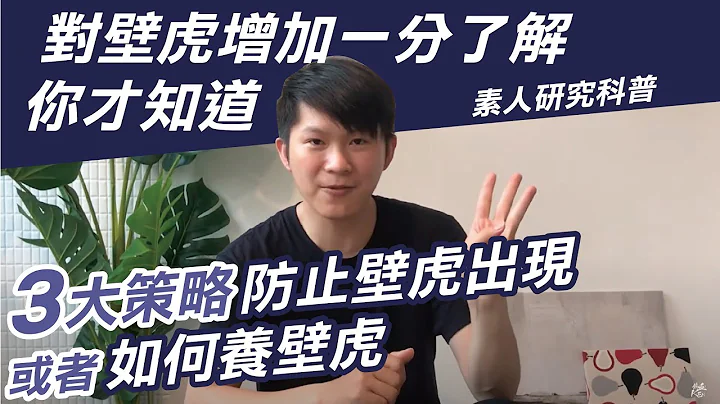 防止壁虎出現的3大策略！飼養壁虎一定要知道的科普資料！熱血整理，可怕又可愛的壁虎資訊一次大公開！|【壁虎特輯】｜熱血Ken  (CC字幕) - 天天要聞
