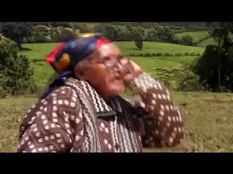 funny-grandmother-on-the-phone-#funny-#clip