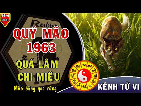 Video Tử vi trọn đời tuổi Quý Mão 1963 nam nữ mạng năm 2021... - youtube