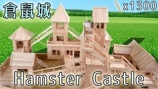 用1300根木棒製作的倉鼠城堡 Hamster Castle! 找不到公主的王子鼠們 :3