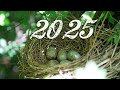 AirSoft2025-첫게임